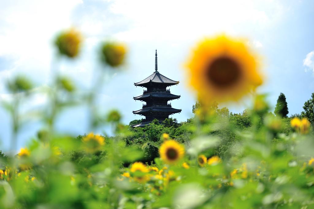 五重塔