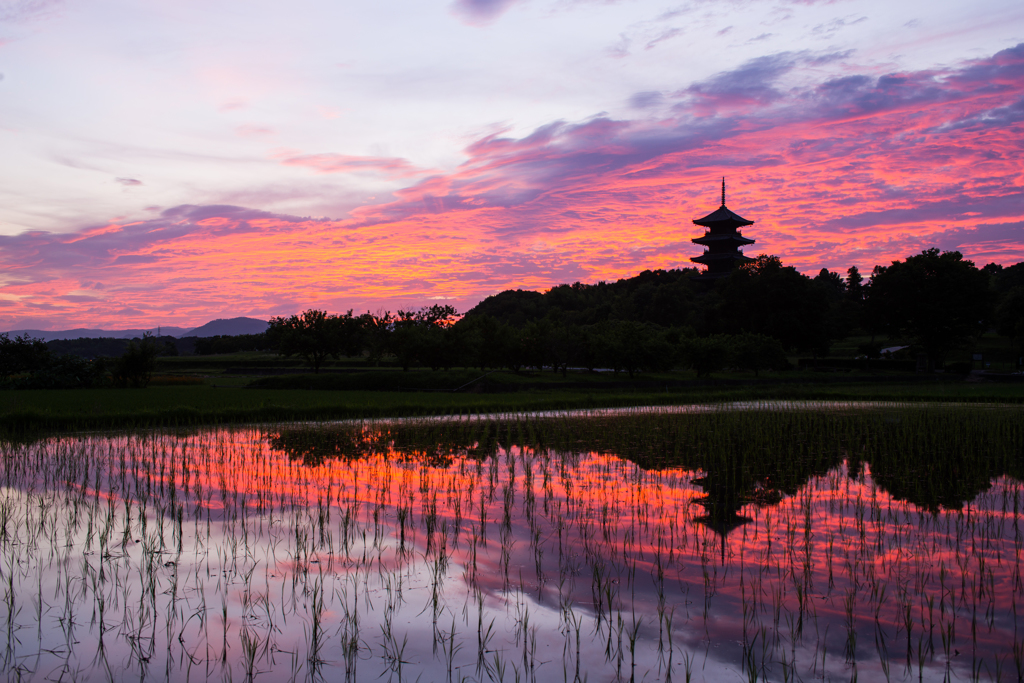 初夏の夕景