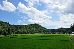 田園と山々