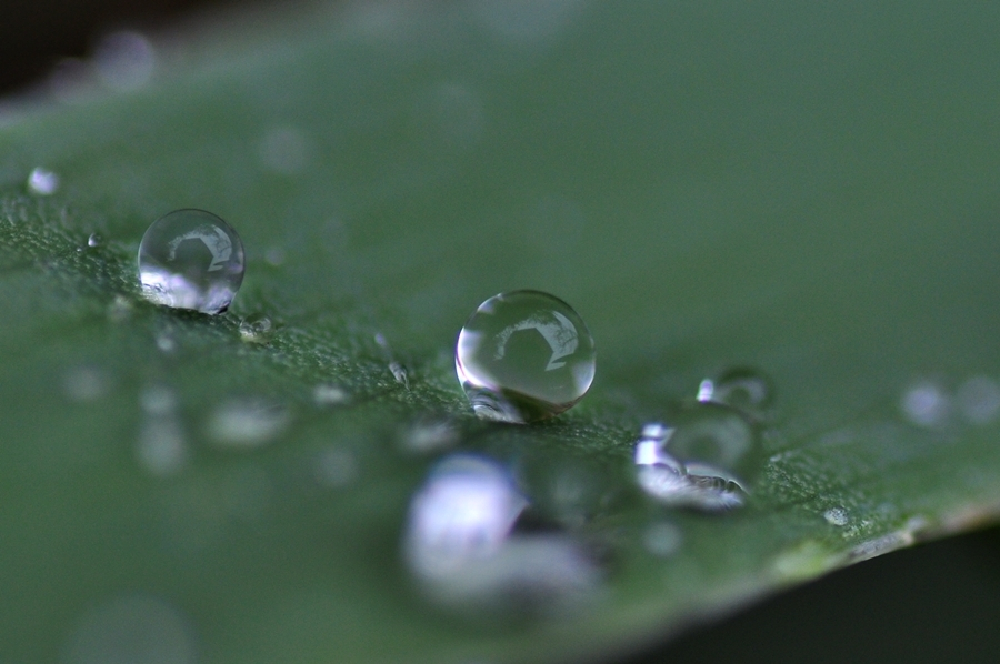 雨の日の楽しみ。