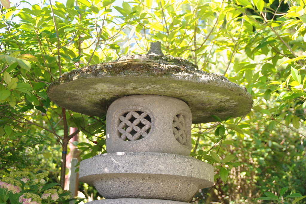 IMGP1469