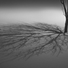 Shadow dancer 