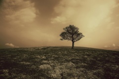 Alone