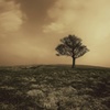 Alone