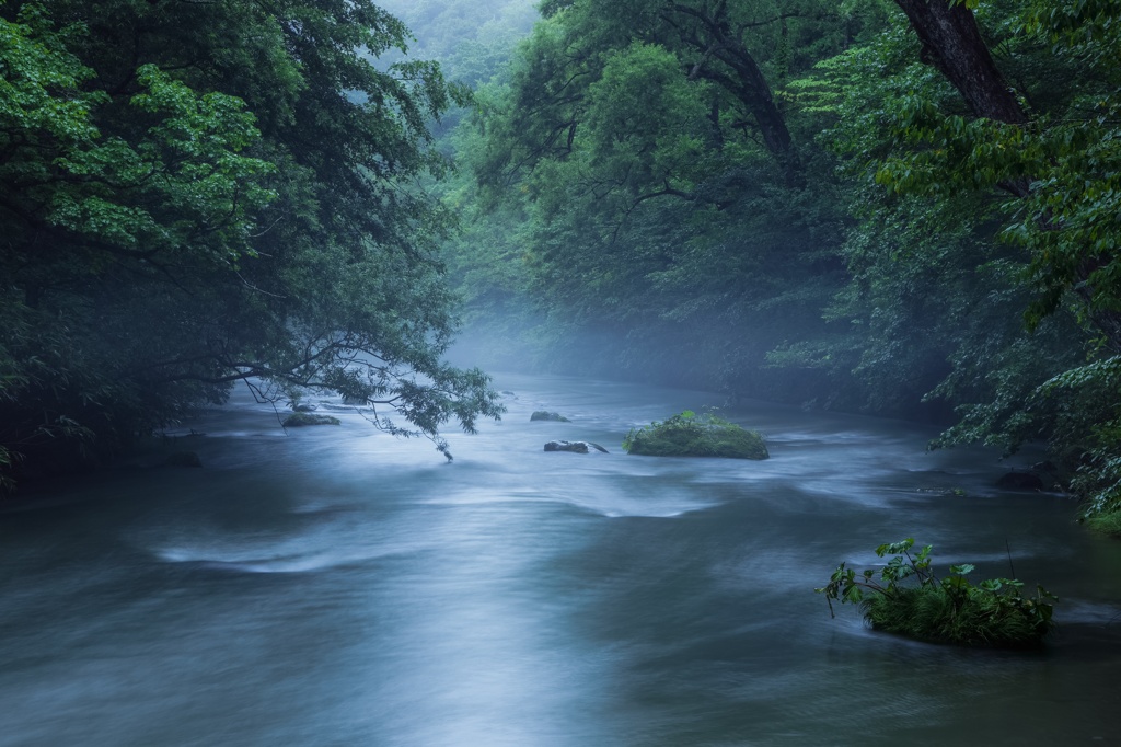 朝霧の奥入瀬渓流1
