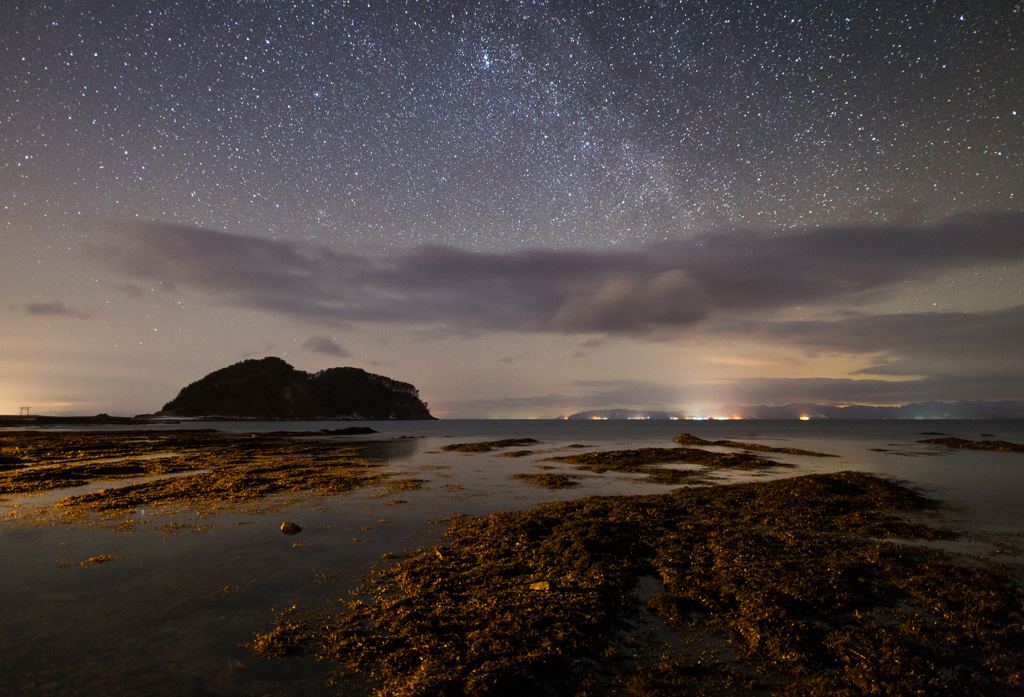 夏泊海岸の夜