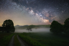 星明かりと夜霧の道