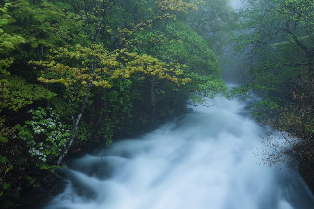 雨霧の流れ