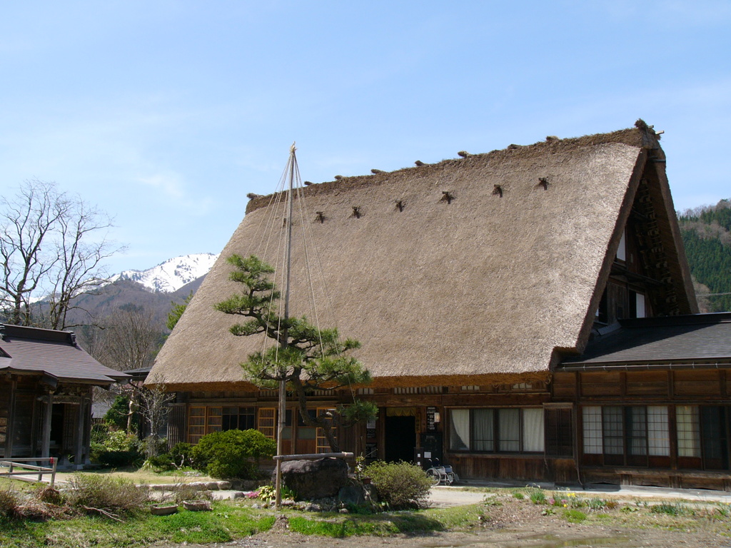 春の白川郷