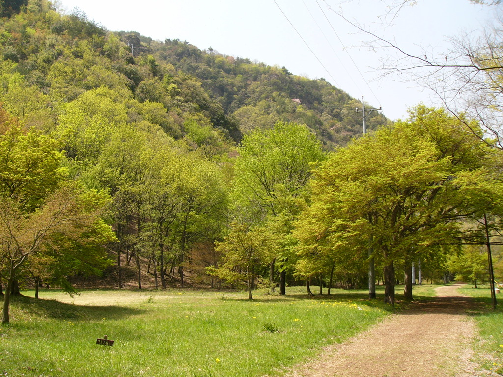 春の公園