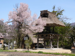 春の白川郷