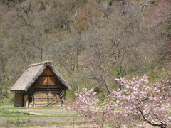 春の白川郷