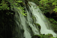 元滝５月06