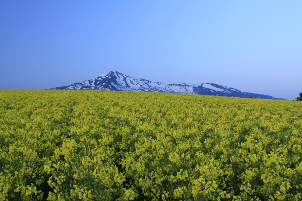 南由利原2