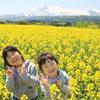 菜の花畑　南由利原1