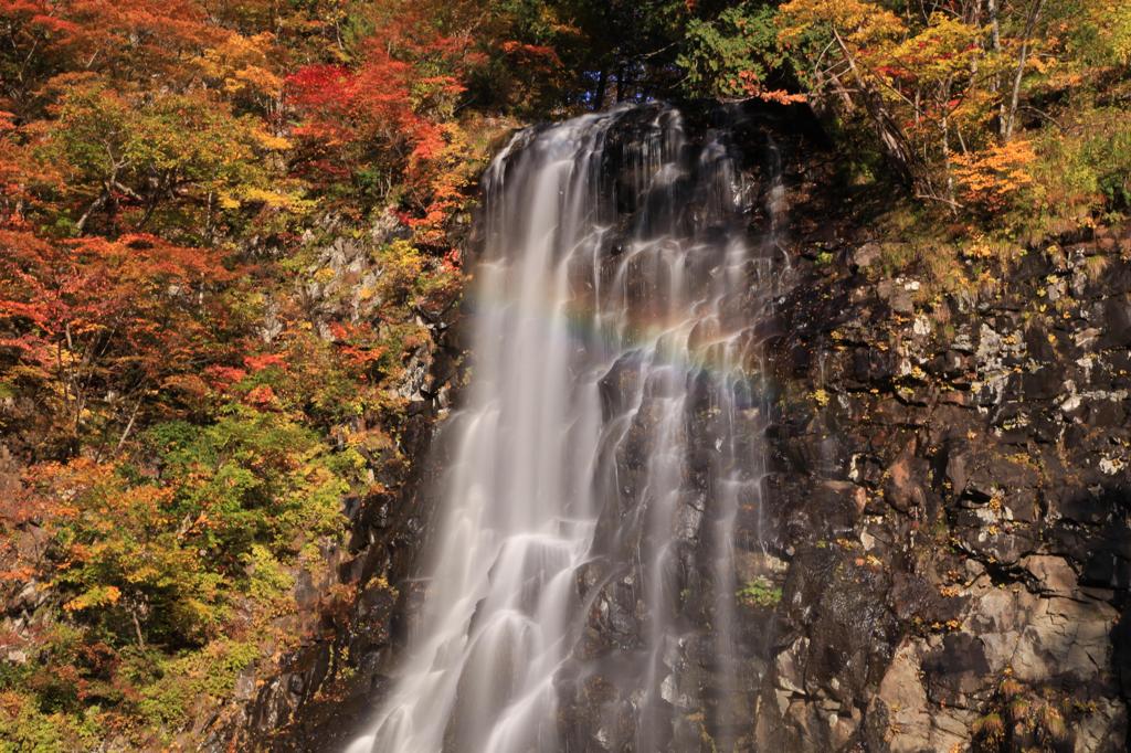 立又渓谷　一の滝④