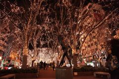 仙台光のページェント