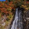 立又渓谷　一の滝②