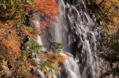 立又渓谷　一の滝③