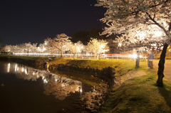 勢至公園1