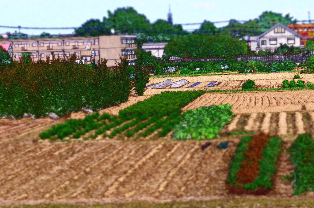 IMGP0010