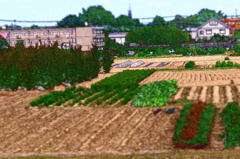 IMGP0010