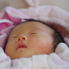 IMGP8842