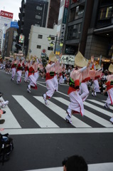 高円寺阿波踊り