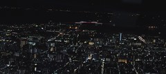 ツリーから東京湾ゲートブリッジを・・・