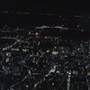 ツリーから東京湾ゲートブリッジを・・・