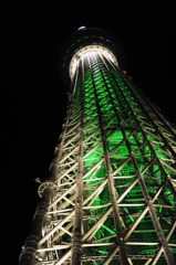 緑・スカイツリー