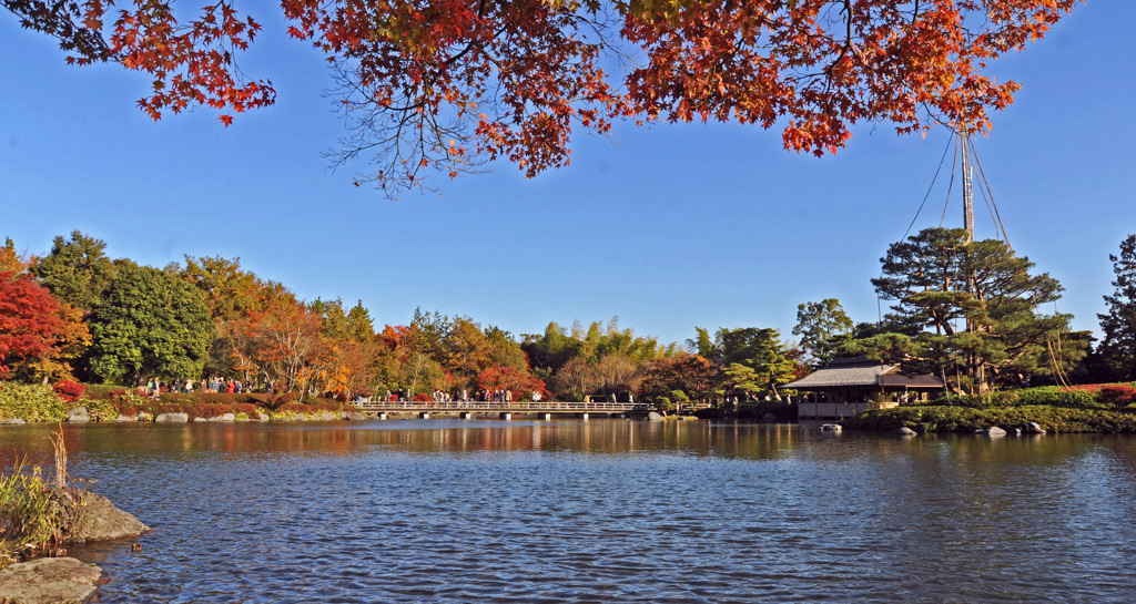 日本庭園・紅葉