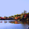 昭和記念公園・日本庭園