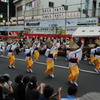 高円寺阿波踊り