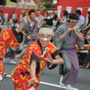 高円寺阿波踊り