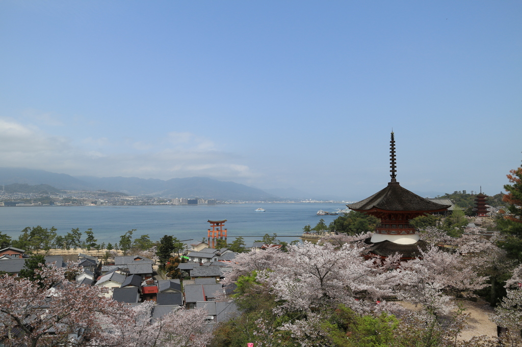 多宝塔からの眺望