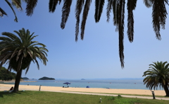 夏海暖簾