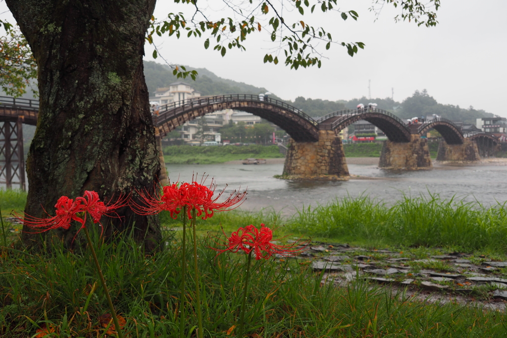 雨中五連橋