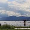 海を見つめて