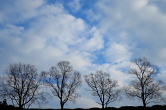 暮秋　～Ｂｌｕｅ＆ｗｈｉｔｅ