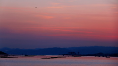 宮島観光フェリーからの夕景
