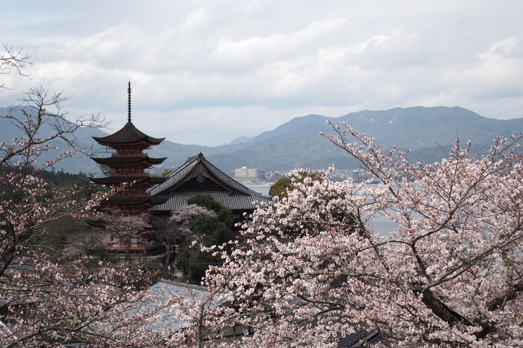 千畳閣と五重の塔