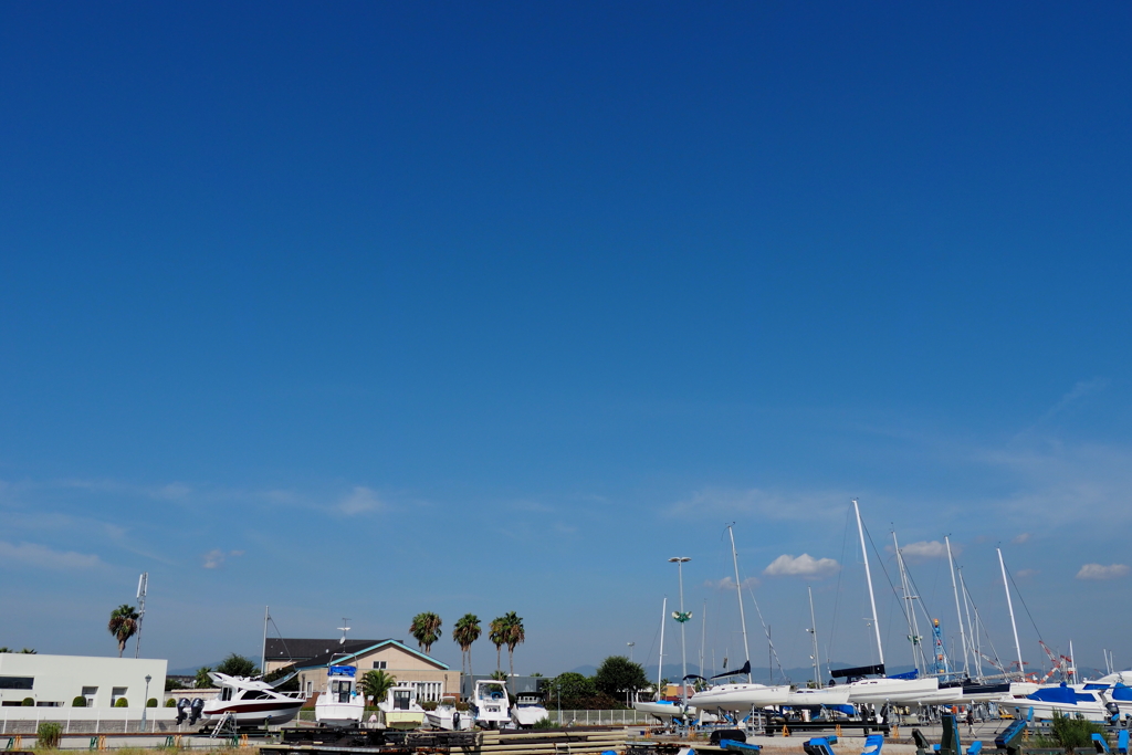 Blue Sky