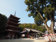 福山　明王院　五重の塔