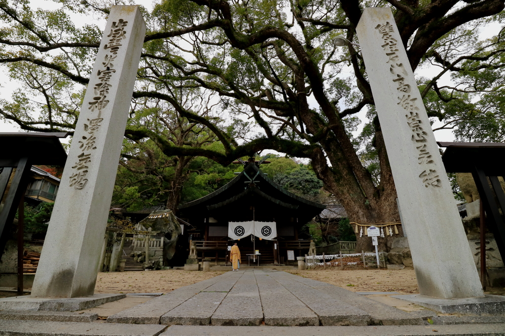 艮神社の大楠