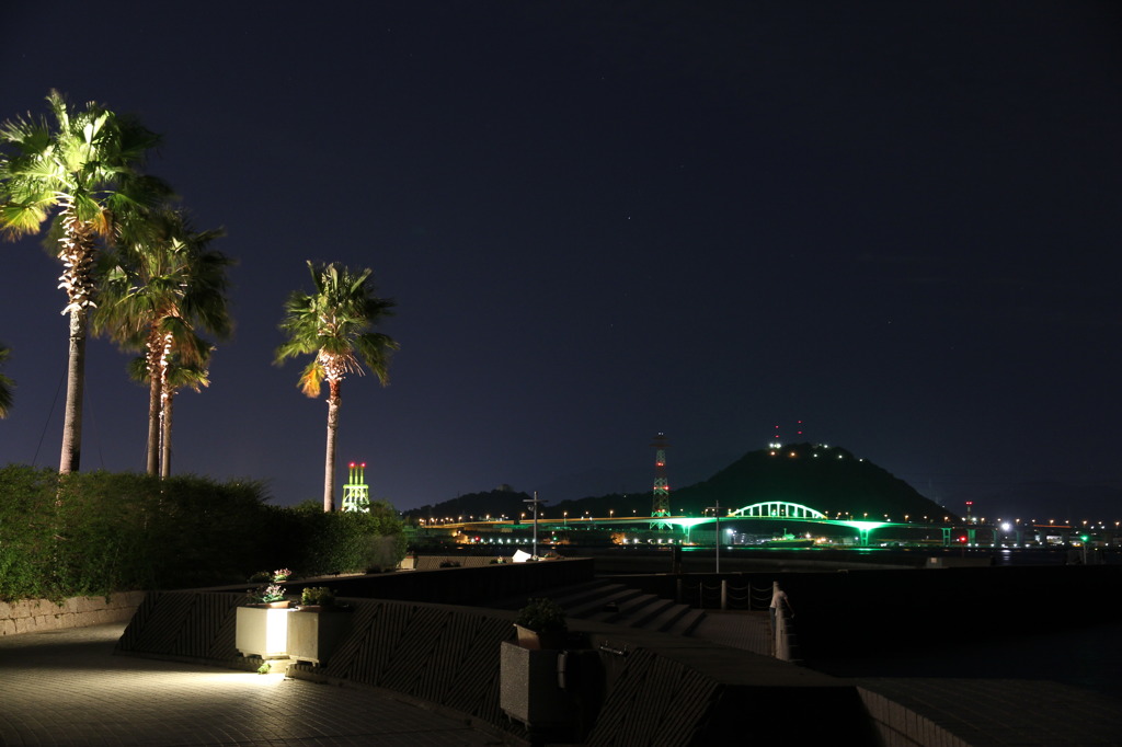 夜景