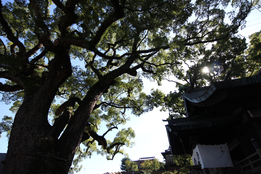 艮神社
