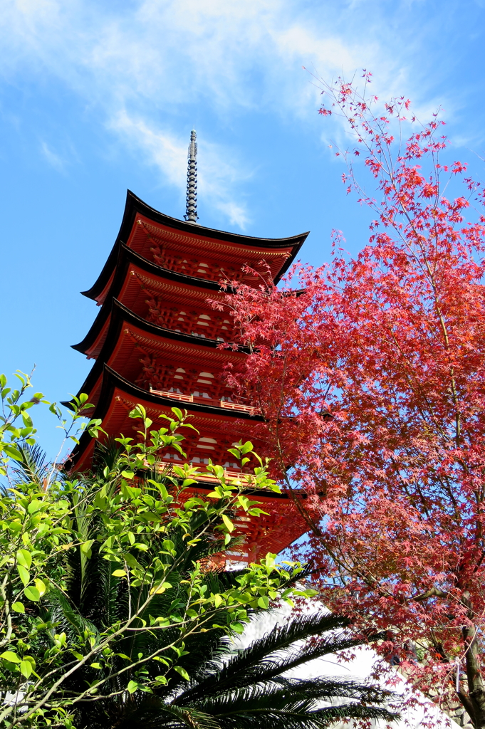 椛と五重の塔と青空