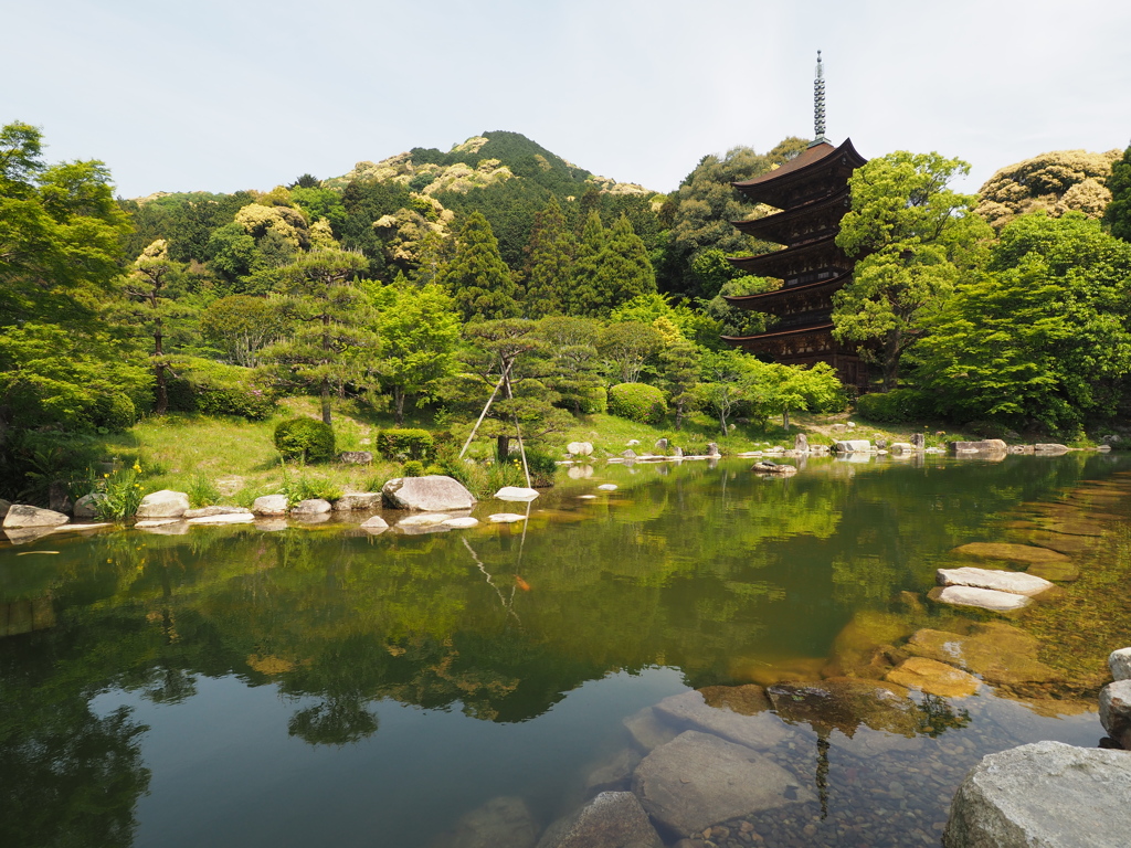 初夏の瑠璃光寺