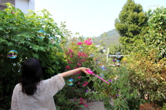 シャボン玉飛んだ～♪